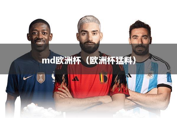 md欧洲杯（欧洲杯猛料）