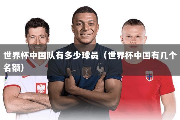 世界杯中国队有多少球员(世界杯中国有几个名额)