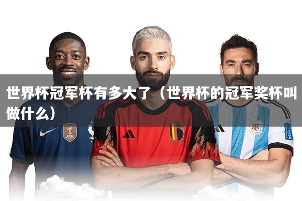 世界杯冠军杯有多大了(世界杯的冠军奖杯叫做什么)