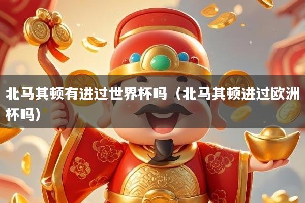 北马其顿有进过世界杯吗(北马其顿进过欧洲杯吗)