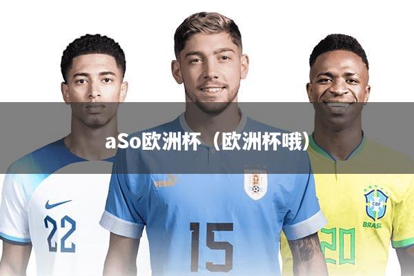 aSo欧洲杯(欧洲杯哦)
