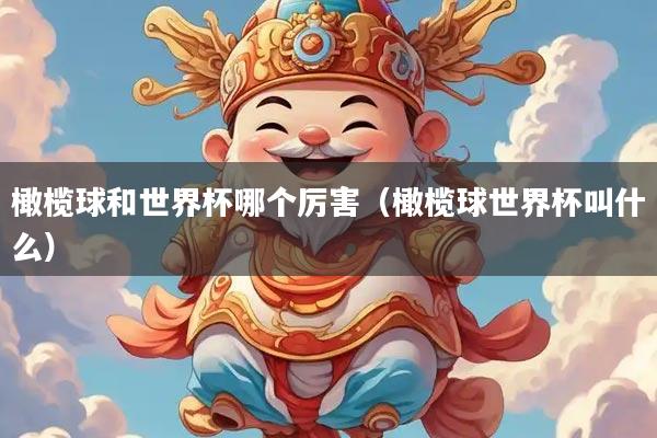 橄榄球和世界杯哪个厉害（橄榄球世界杯叫什么）