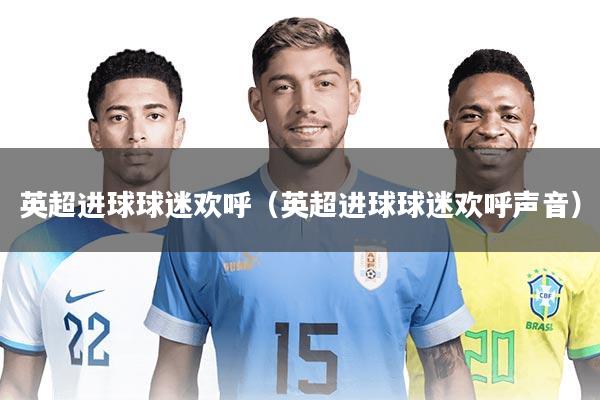 英超进球球迷欢呼（英超进球球迷欢呼声音）
