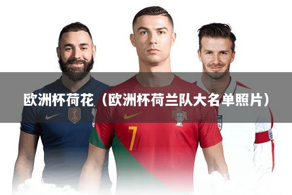 欧洲杯荷花（欧洲杯荷兰队大名单照片）