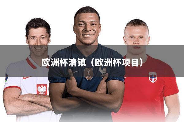 欧洲杯清镇（欧洲杯项目）