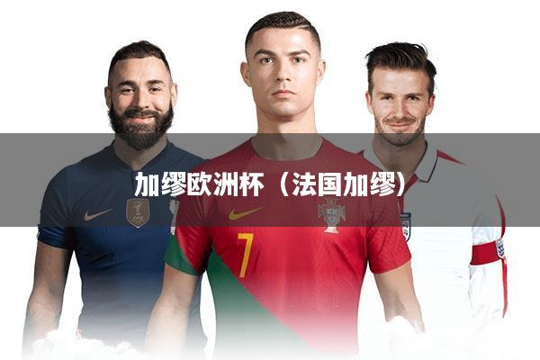 加缪欧洲杯（法国加缪）